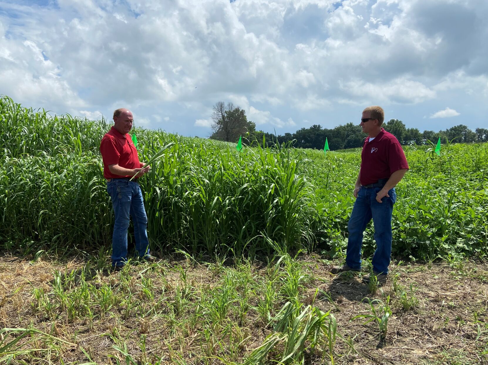Adding manure management and cover crops helps farmers improve soil health